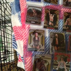 WCW, Smackdown,WWF,And NXT Wrestling Cards