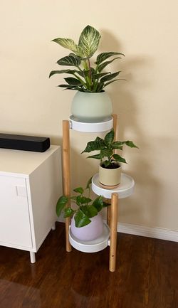 Plant Stand