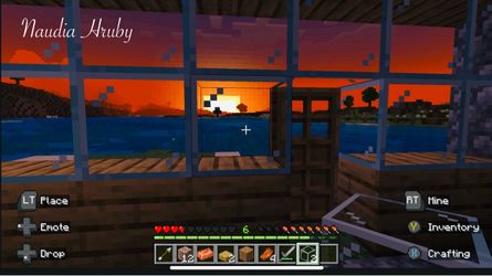 Minecraft photography POSTER Print Framed 16*20 (By Naudia Hruby)