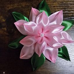 Flores De Noche Buena