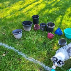 Miscellous Outdoor Plastic Pots