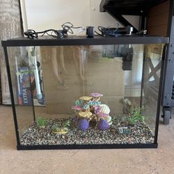 Fish tank 30 Gallon