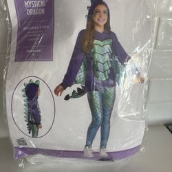 Mystical Dragon Costume