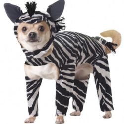 Size XS Pet Animal Planet Zebra Puppy Dog & Kitty Cat Costume
