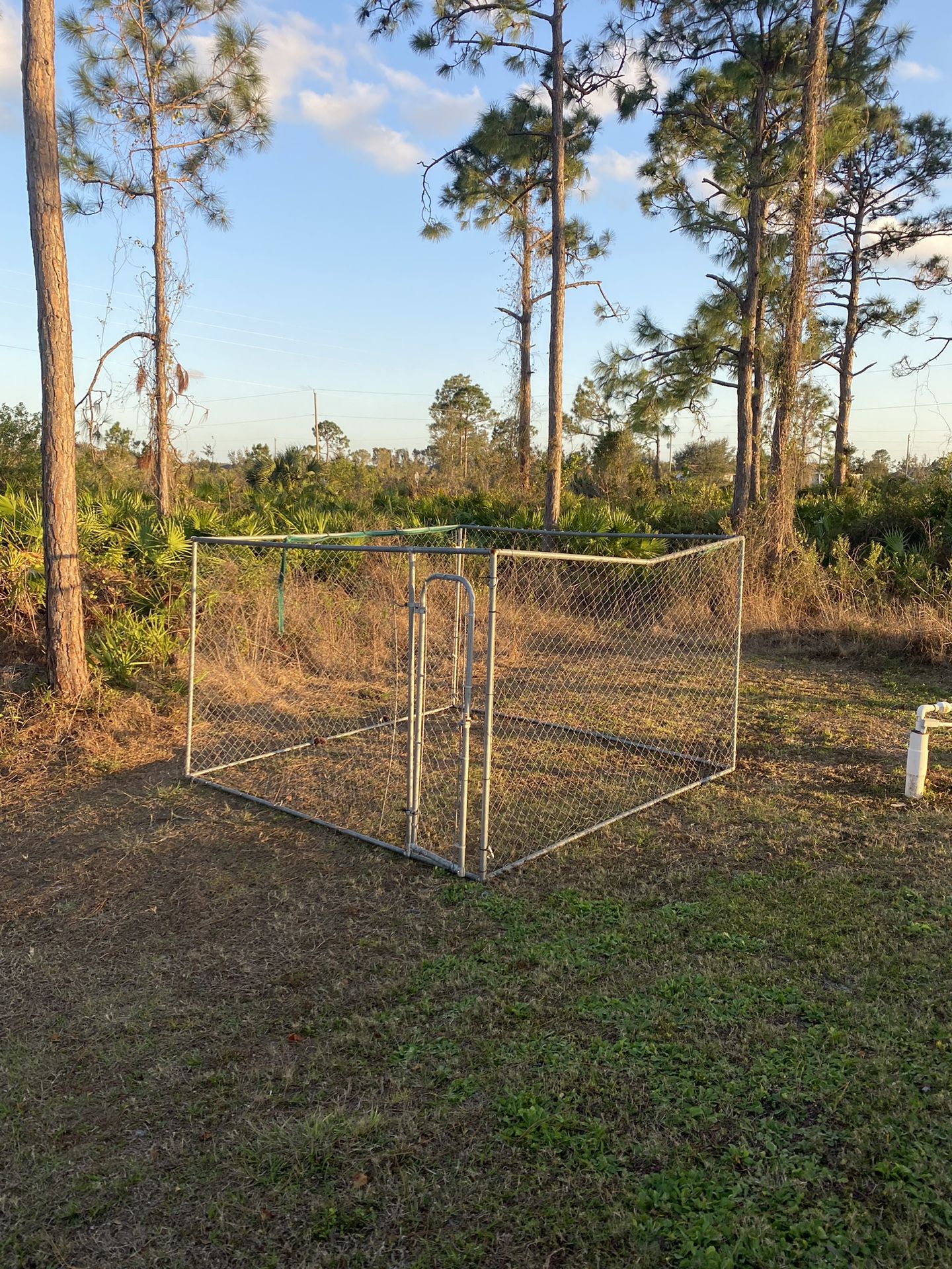 Dog Kennel