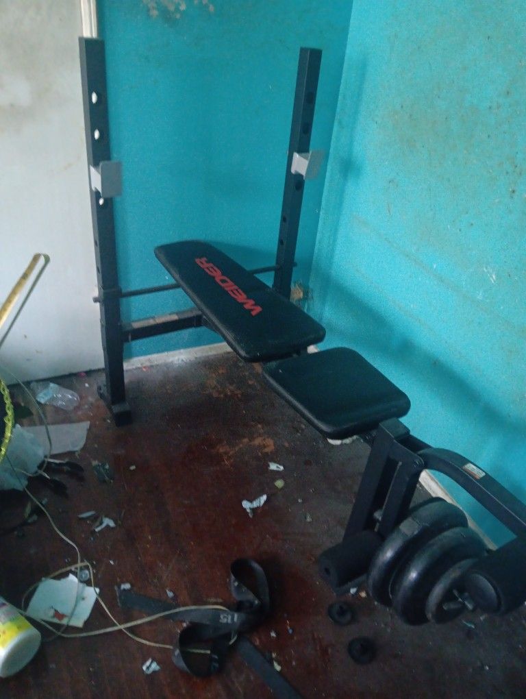 Weight Bench With Leg Extension And Hamstring Curl Set