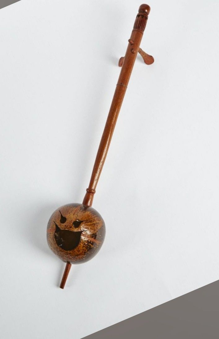 Handmade TOOMBI Two String Coconut Instrument