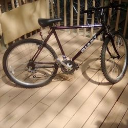 Bike Mountain Bike Nice 80.00