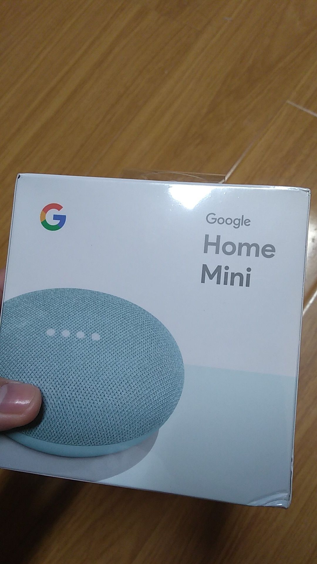 Google Home Mini Aqua