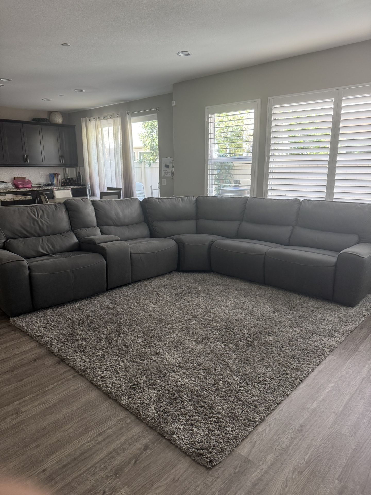 Grey Sectional Reclining Couch (from Costco) and shag rug