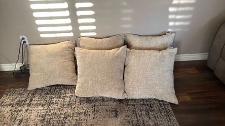 Pillows (Costco