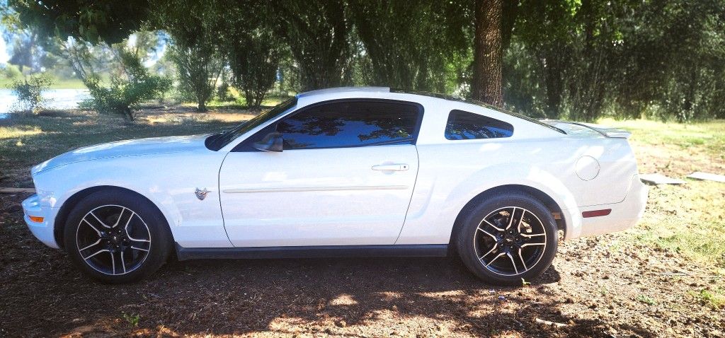 2009 Ford Mustang