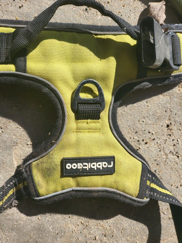 Free Leash With Harness Good Brand
