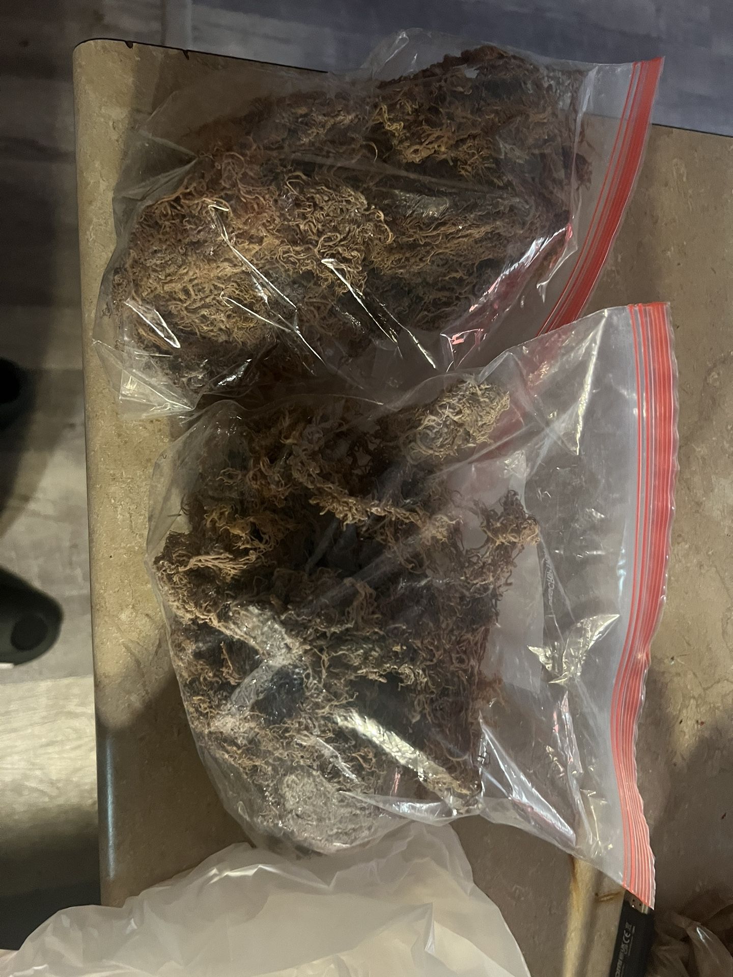 Tanzania Sea Moss