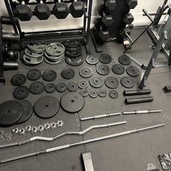 Standard one inch Weight Plates 305lbs, w/bars & tree