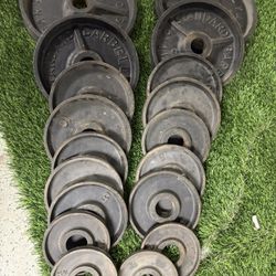 Weights