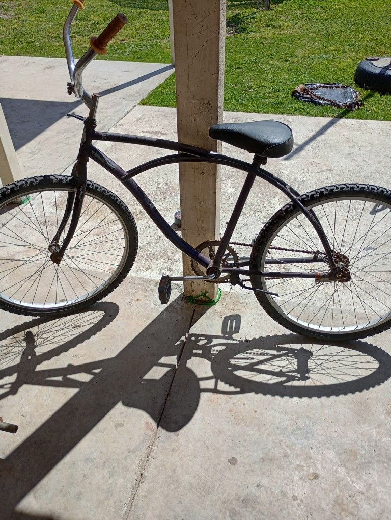 Beach Cruiser