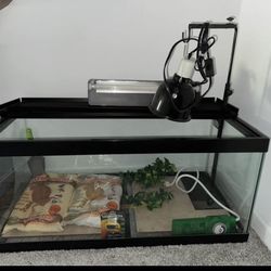 40 Gallon Breeder reptile tank Setup