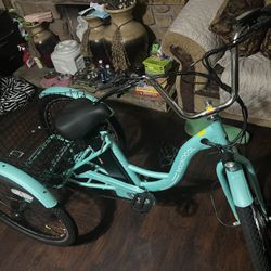 Electric Tricycle O Bicicleta Electrica