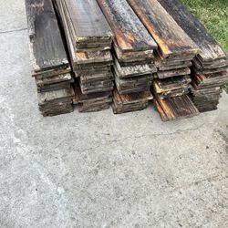 5 Feet Tall