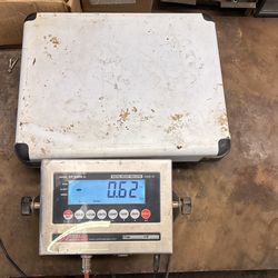 50 lb Digital Scale