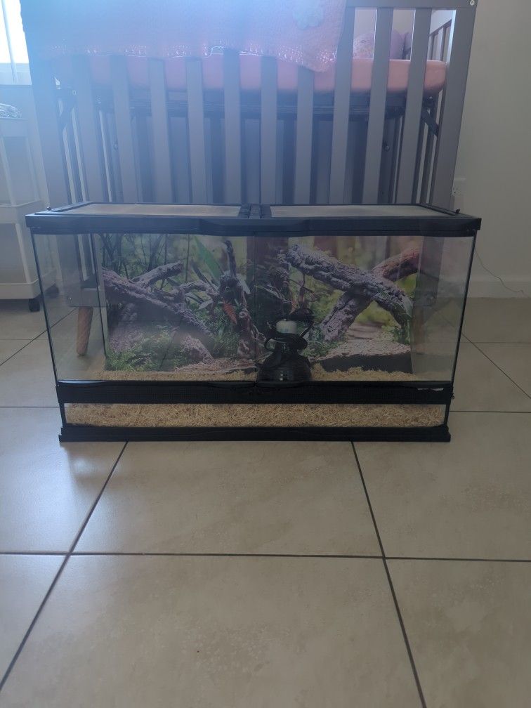 Reptile Tank
