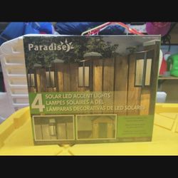 Solar Led Accent Light