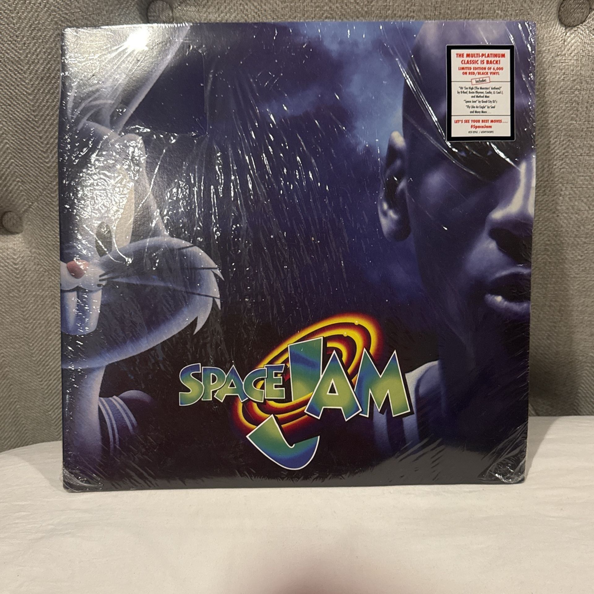 Space Jam Record