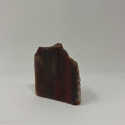 Petrified Wood 