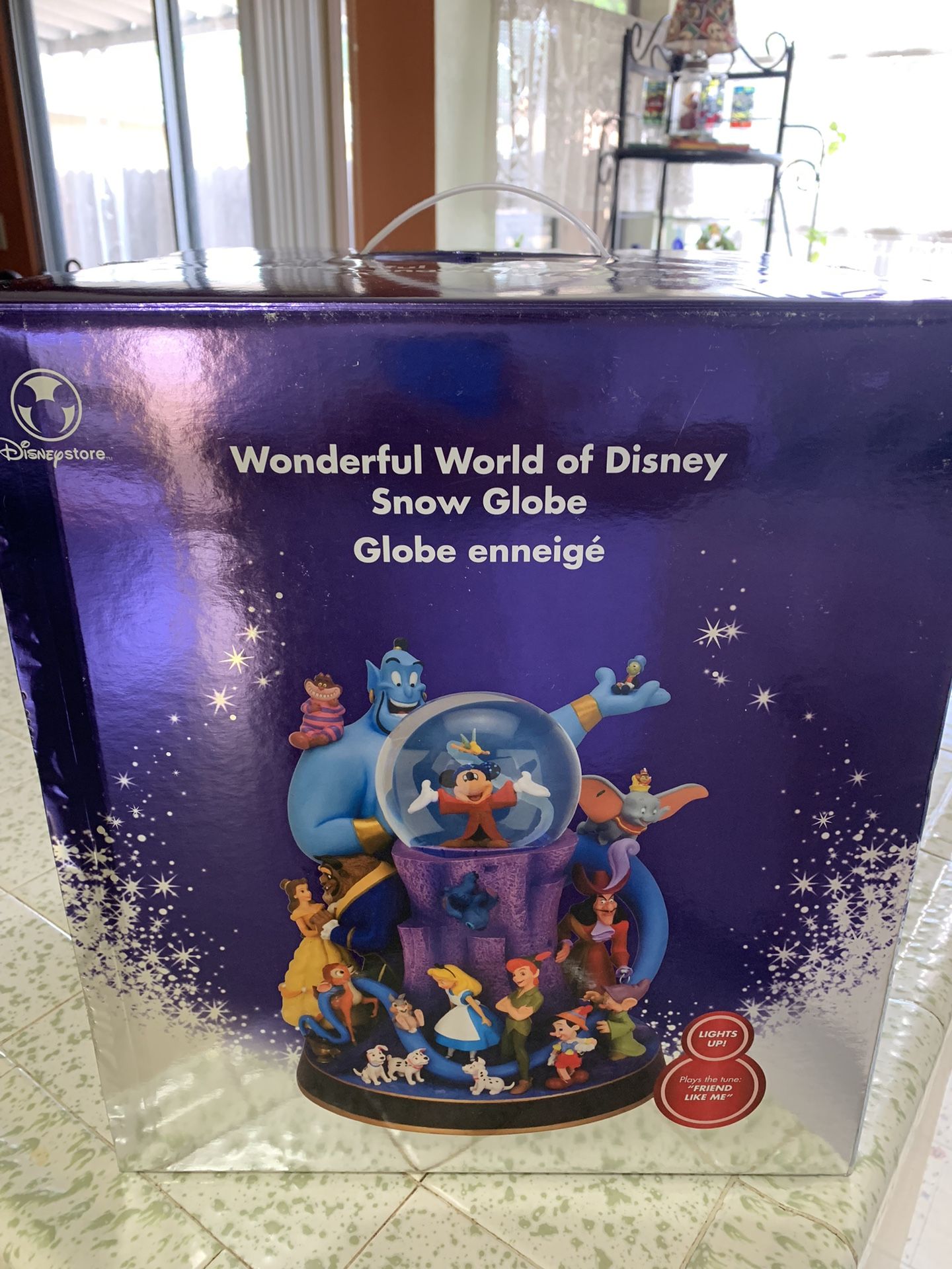 Disney Snow Globe