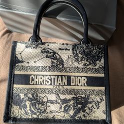 Small Dior Book Tote Latte and Black Dior Zodiac