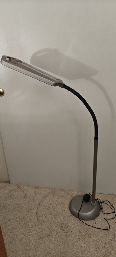 12" Lens 120V Outlet 53-in Tall Silver Standard With Iight Floor Lamp with Plastic Shade