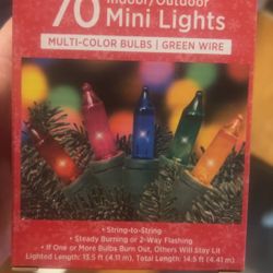 70 Indoor/outdoor Mini Lights Multi Color 