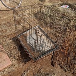 Medium Dog Crate