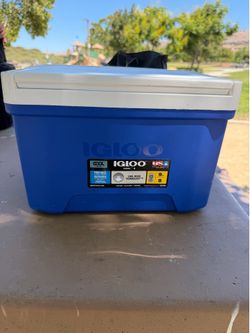Igloo Cooler 9qt