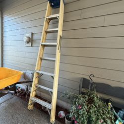 8ft Ladder