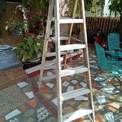 5 Foot Aluminum Ladder 