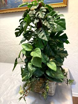 Fake Plant