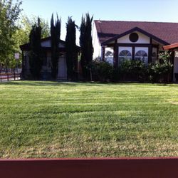 1 Bed 1 Bath - Small Apartment