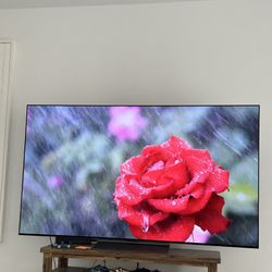 LG C2 OLED 77 INCH TV