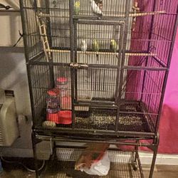 Birdcage Birds Sold Altogether