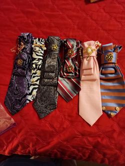 Decorated Neckties (multicolored)