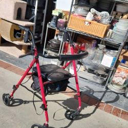 Medline Walker Good Condition