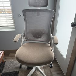 Ergonomic Office Chair