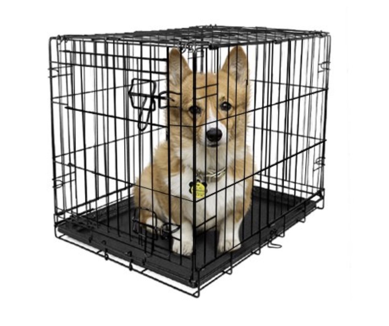 Vibrant Life Single-Door Folding Dog Crate with Divider, Small, 30 inchl, Size: 30 inchLarge