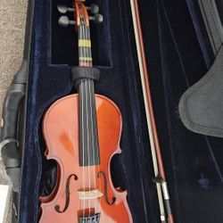 Violins