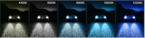 Brand new HID headlight for cars, trucks, motorcycles