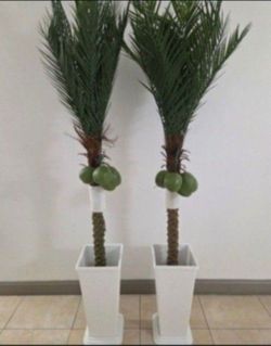*** JUST REDUCED *** PAIR of 7ft Faux Coconut Palms In 24in White Square Resin Planters (2 for $135) @ Lasting Creations