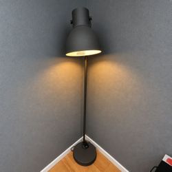 Floor Lamp with Adjustable Head