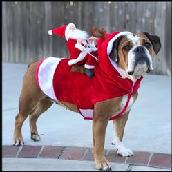 Santa Claus Riding Dog Costume - Polyester Christmas Pet Outfit with Cartoon Theme, Adjustable Dress-Up for Large Breeds - Festive Canine Cosplay Appa